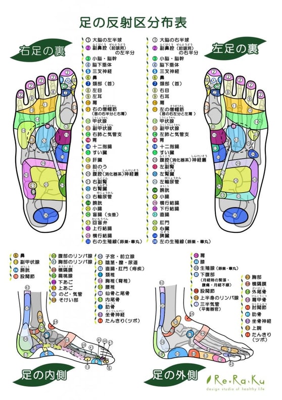 足つぼ 模型 足裏 反射区 日本語 足つぼマッサージグッズ マッサージ ツボ押し グッズ 両足 左右 セット マネキン 足 つぼ あしつぼ 足ツボリフレクソロジ