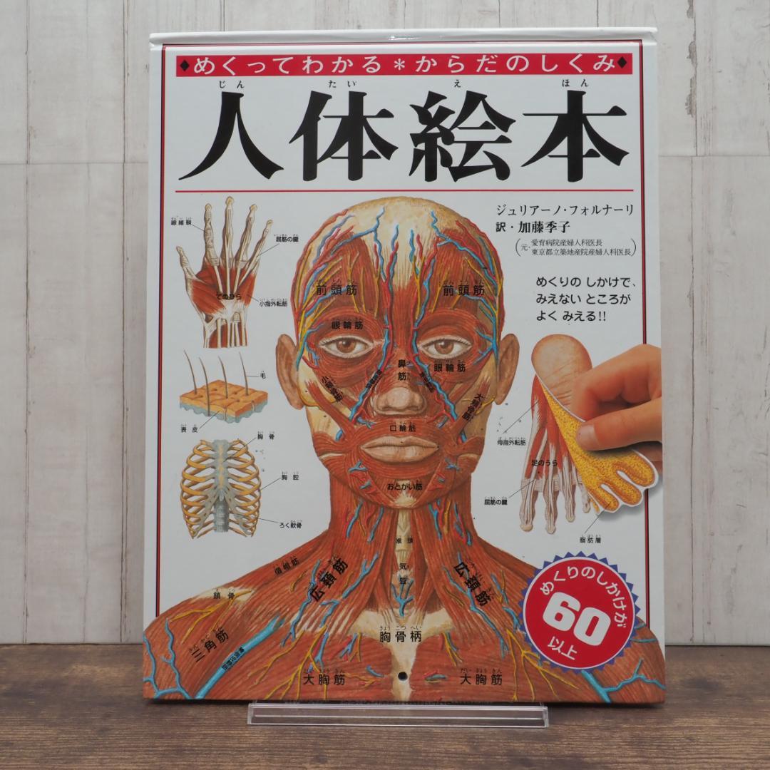 人体絵本: めくってわかる・からだのしくみ ジュリアーノ フォルナーリ