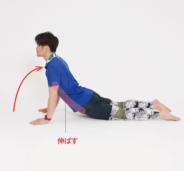 腰痛予防 股関節の付け根のストレッチリハ通信医療法人悠悠会 リハビリテーションセンターいそ