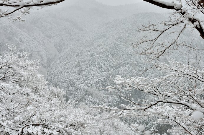 雪が降ると静かなのはなぜ？雪が降る様子を表す言葉もあわせて紹介 - そらくら