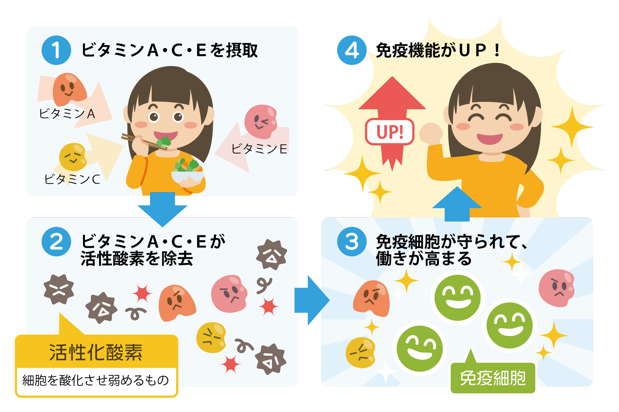 白血球を増やす食べ物2024 年のリアルなLemon8ユーザー体験