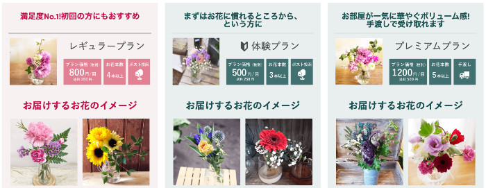 ブルーミーはどんな花が届く？花好きの一人暮らしが1ヶ月利用した感想The Cat's Pajamas ぱじゃねこ