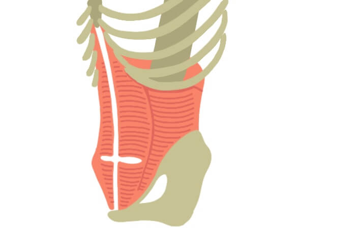 腹筋についてジョイリハ