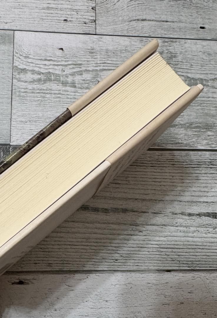 パティ・スミス完全版 : 詩と回想、そして未来へのメモ Mトレイン章の