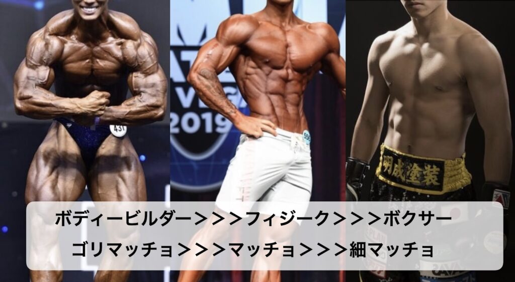 細マッチョの写真・画像素材-Snapmart スナップマート