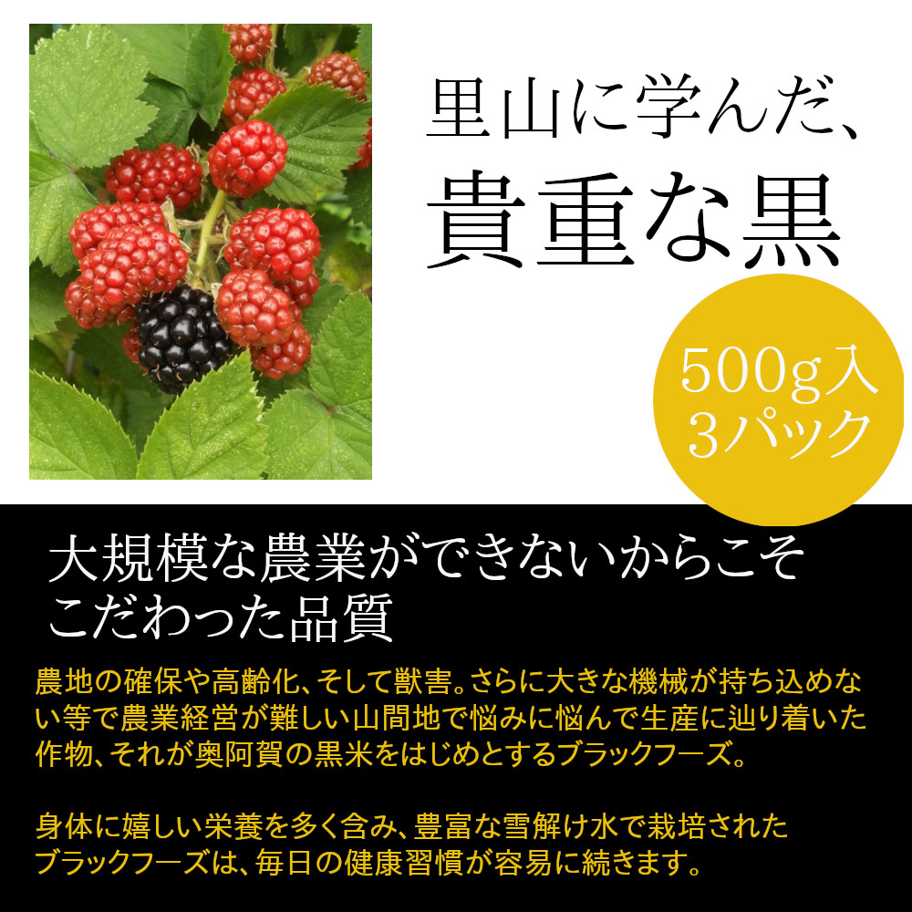 ラズベリー・ブルーベリー・ブラックベリー 代表的なベリー類 - Chiik! チーク-乳幼児〜小学生までの知育・教育メディア