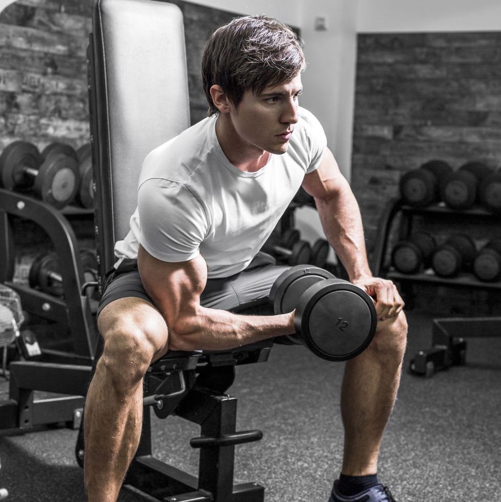 ジムのベンチに座りながらダンベルを手にトレーニングする女性。集中上腕二頭筋ダンベルカールの写真素材・画像素材 Image 186443816