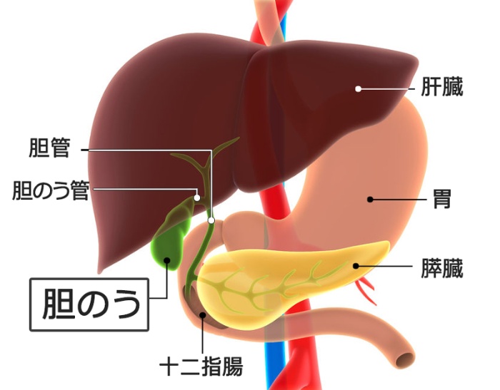 東映 カレンダー 1986年 志穂美悦子 酒井和歌子 黒崎輝 市毛良枝 渡瀬恒彦 夏木マリ 千葉真一 松尾嘉代 真田広之 名取裕子 他3人 □ レトロitem detailsJDirectItems AuctionOne Map by FROM JAPAN