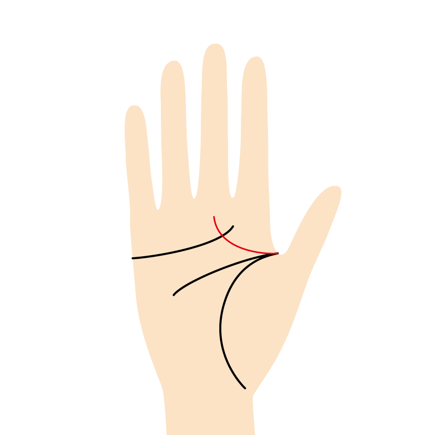 手相占い「見方・意味・7大線」を解説！ラッキーな幸運線もご紹介みのり当たる無料占い＆恋愛占い