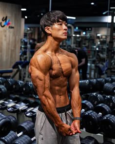 IPhone ワークアウトのモチベーション、ジムのモチベーション 高画質の壁紙Pxfuel