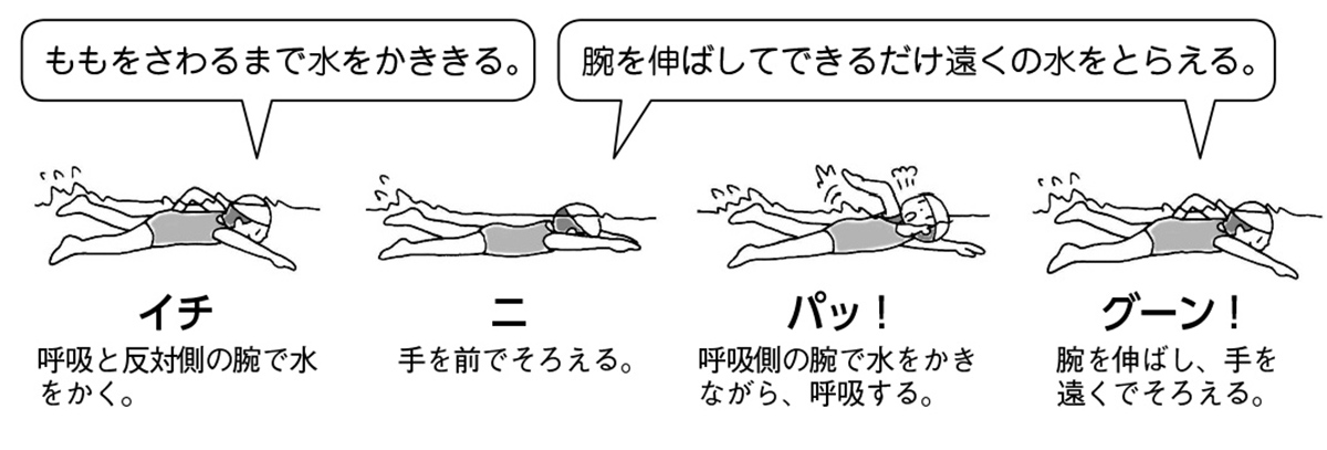 2,200点を超えるクロールのイラスト素材、ロイヤリティフリーのベクター素材グラフィックスとクリップアート - iStock水泳, バタフライ,平泳ぎ