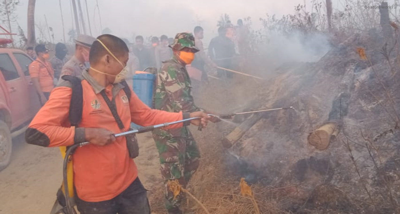 森林火災とは？地球温暖化との関係や発生の原因について解説