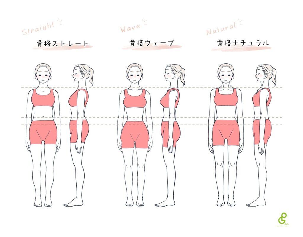 骨格診断7タイプ自己診断 あなたの骨格タイプは何タイプ？ アルファベットラインColory カラリー