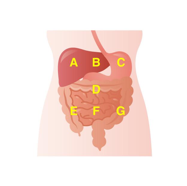 急な腹痛、頻繁な腹痛でお困りの方へ 腹痛専門外来のさくら医院緑区・天白のさくら医院消化器内科・胃腸科・健康診断