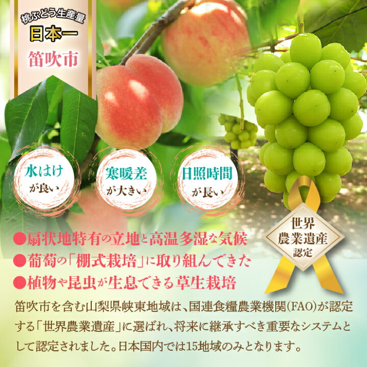 ぶどう ダイエット