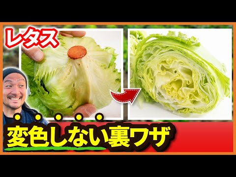 LiSt企画展示：新生活をお助け！！ライフハック特集藤女子大学図書館