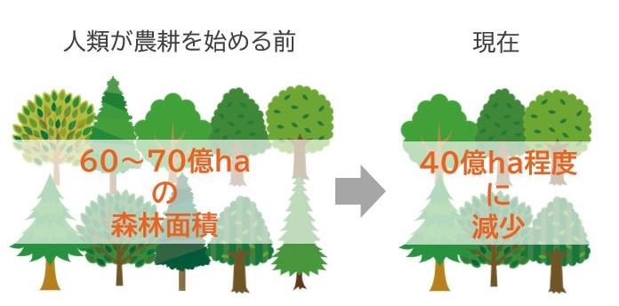 今、日本の森林はどうなっているの？東京と全国各地との共存共栄 ～真の地方創生～