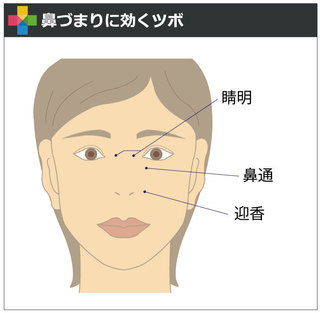 春に気を付けるべき猫のくしゃみと鼻水松波動物メディカル ペットのお役立ちコラム