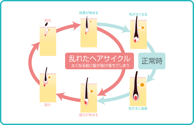 女性の髪の悩みに、ミノキシジルは使える？リジェンヌヘアケアコンテンツ大正製薬