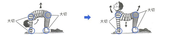 ヨガをこれから始める方へ、始めたばかりの方へ - ブログ