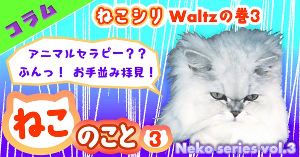 キューティの夜鳴きにフェリウェイの効果はつれづれにっき