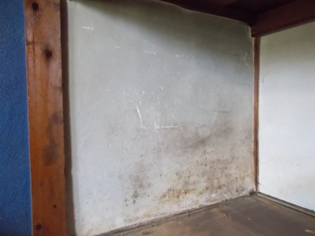 かびＺｅｒｏ木部用下塗り防腐・防かび剤 3.2L 透明 吉田製油所 木部用 透明ホームセンター通販はDCMオンライン