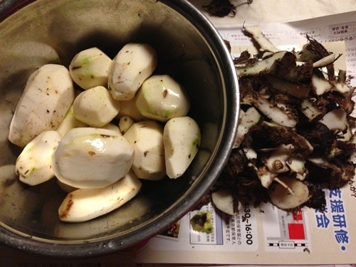 包丁を使わない里芋の剥き方はこちらから⬇️, @yumi.seiro , 保存して作ってみてね😀,昨日は、里芋サラダを投稿したのですが、フォロワー様から里芋の剥き方の動画が見たいとDMを頂いたので動画を作ってみました。この方法だと手が痒くならずに助かってます。,参考になれば嬉しいです♪, 里芋剥き方の,