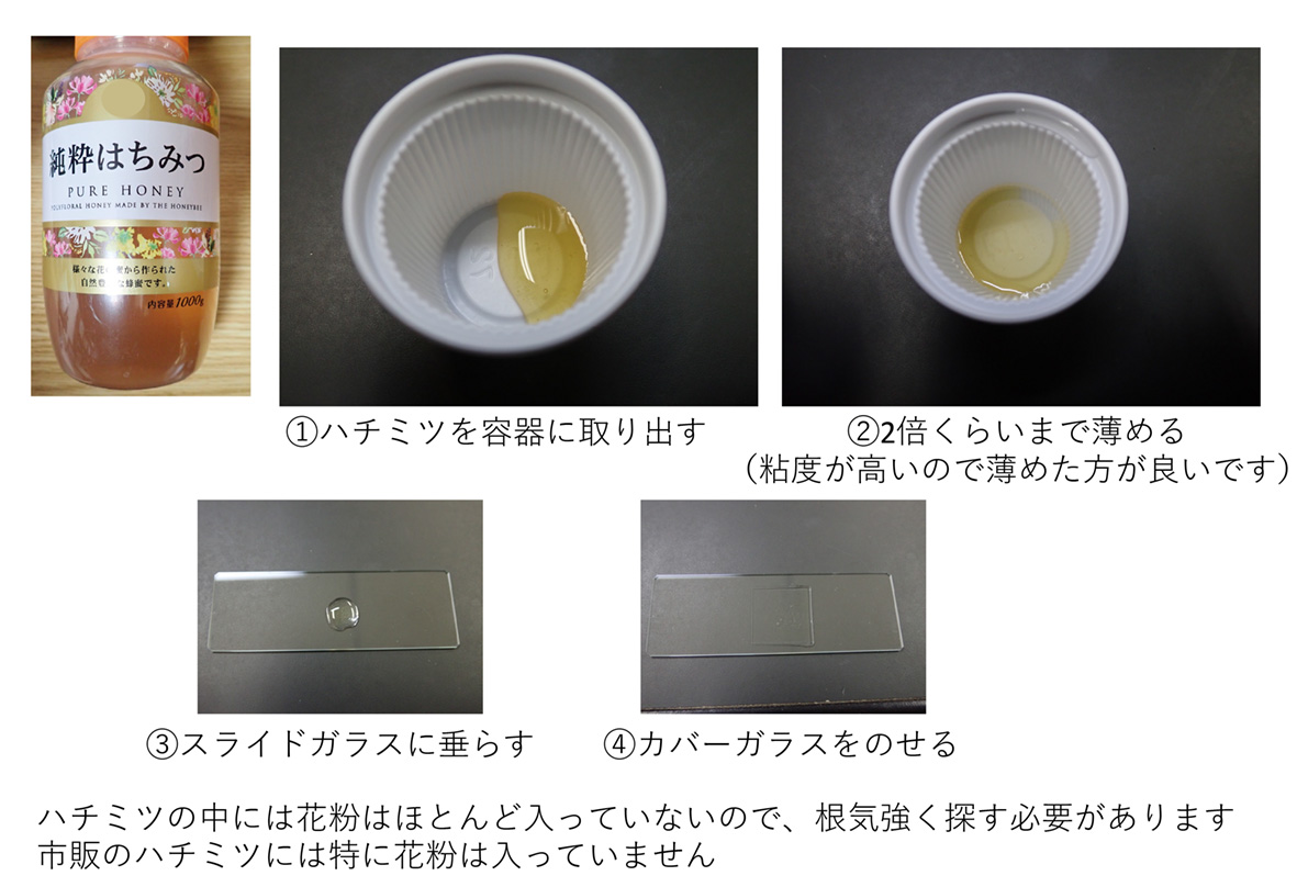 □スギ花粉の正体 その４