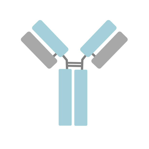 抗体イラスト無料イラスト・フリー素材なら「イラストAC」