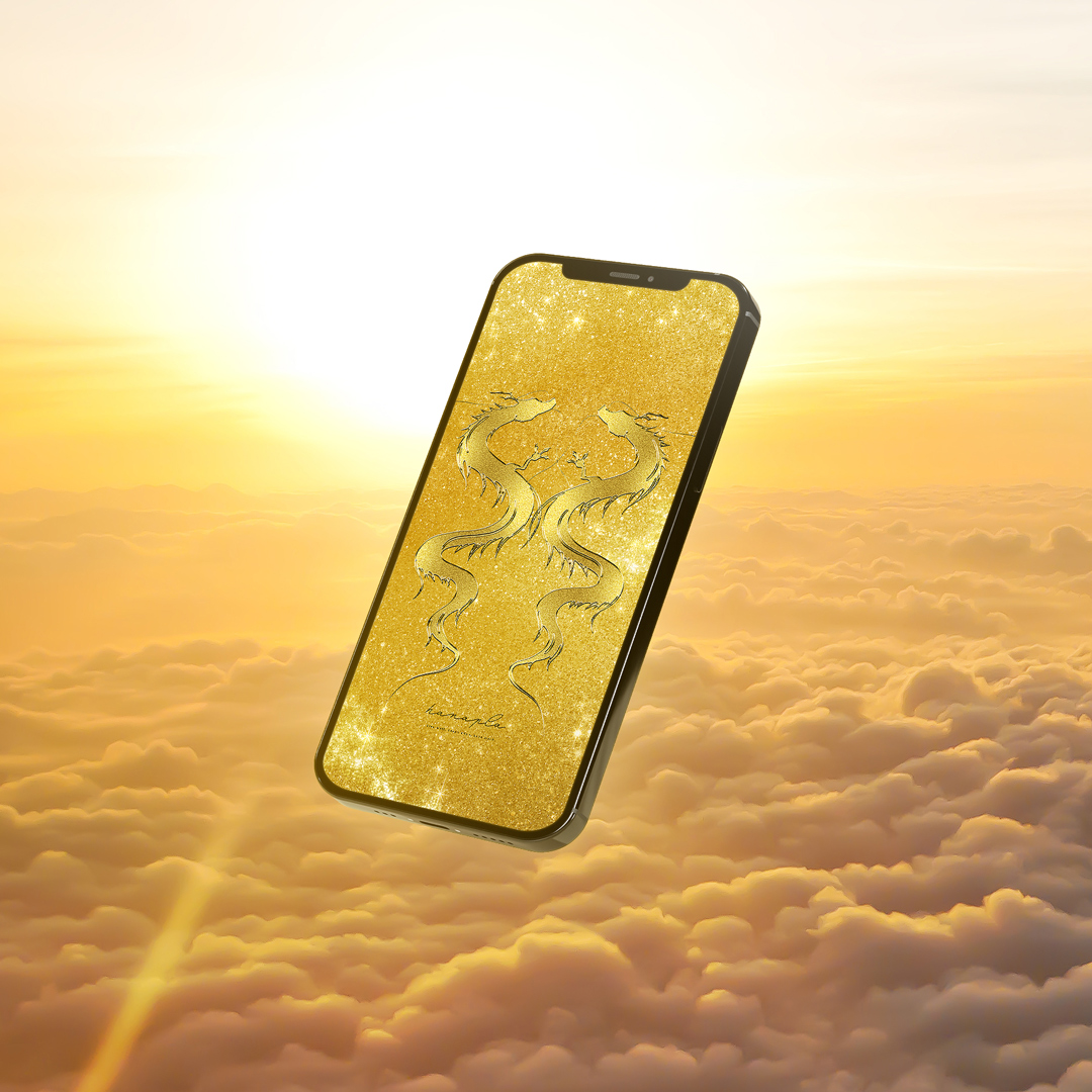 魚神様の金運効力‼️ 金運最強！本当に効果のあった待ち受け