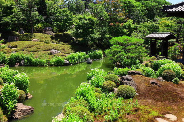 建仁寺 両足院 初夏の半夏生の庭園特別公開東福寺、建仁寺、大徳寺の塔頭寺院で永代供養