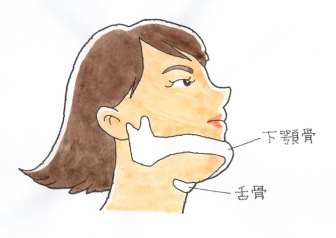 気道管理：経口気管挿管 別バージョン- Procedures Consult