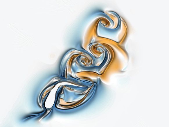 プレスリリース 水中でバランスを保つ秘密 ～成魚が体をわずかに曲げて姿勢を保つメカニズムを発見～2025年度国立大学法人 総合研究大学院大学