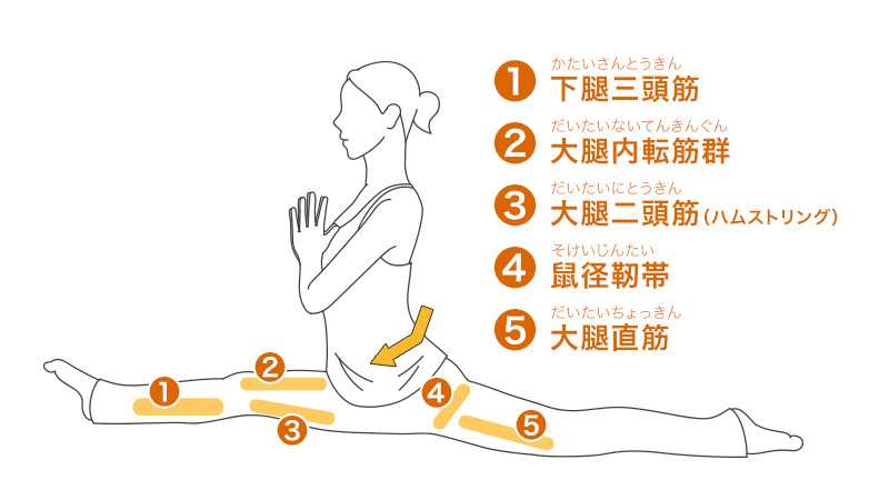 棒を活用 1 下半身をセルフマッサージ魔法の運動教室西日本新聞me