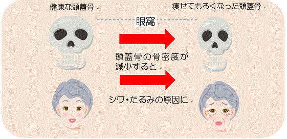 たるみ・二重あご 追放！骨を刺激する「あご拳固」で顔老化STOPからだにいいこと