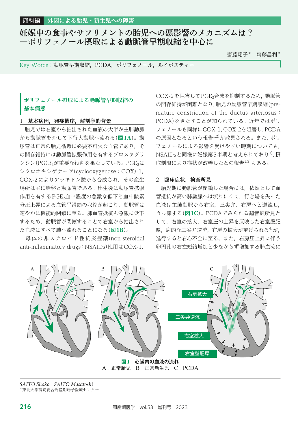 血管が老けない人の習慣 入浴は週5回以上、お茶は「ルイボスティー」最新研究で判明した健康長寿の秘訣 - ライブドアニュース