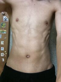 筋トレについての質問です。筋肉が増えません。 - 半年ほど市営のトレーニングル- Yahoo!知恵袋