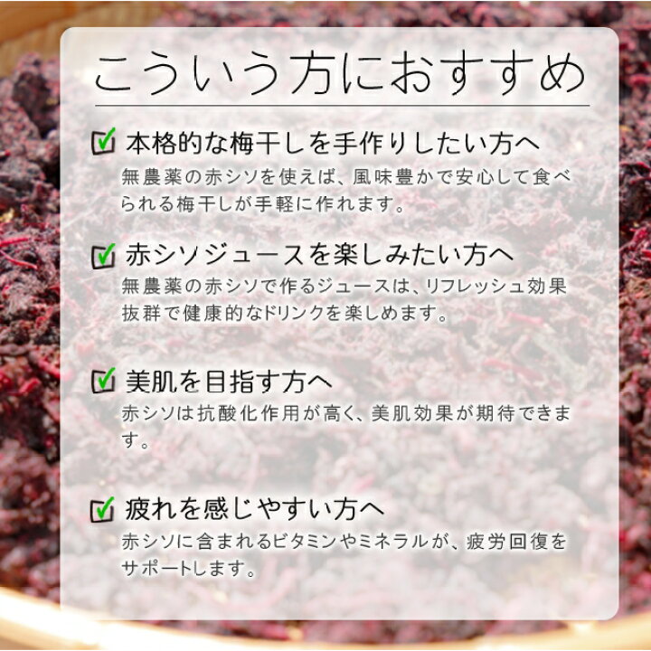 2025.06.30 \梅酢が上がったら梅干しの赤紫蘇漬け梅干し作りの続きジップロックで梅干し作りの投稿を見て 今年は梅干しに挑戦してくださった方も☺︎皆さんの梅干しも梅酢たぷたぷしてきたかな？ 梅酢がしっかり上がり 赤紫蘇がスーパーに出回るようになったら