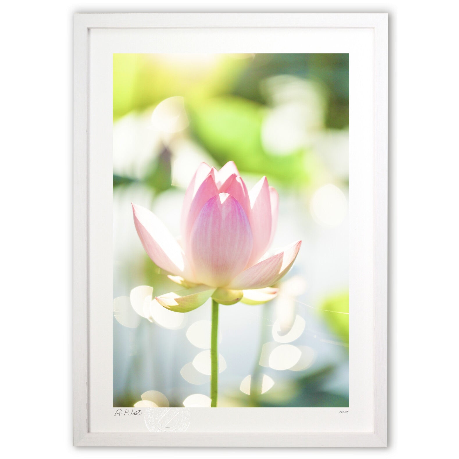 空のペットボトルをテーブルの上に敷設、水をこぼすことの写真素材・画像素材 Image 63679131