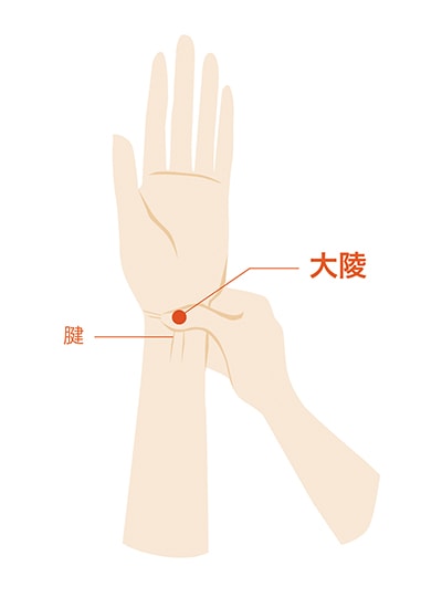 手のツボイメージ名称ありのイラスト素材39772584- PIXTA