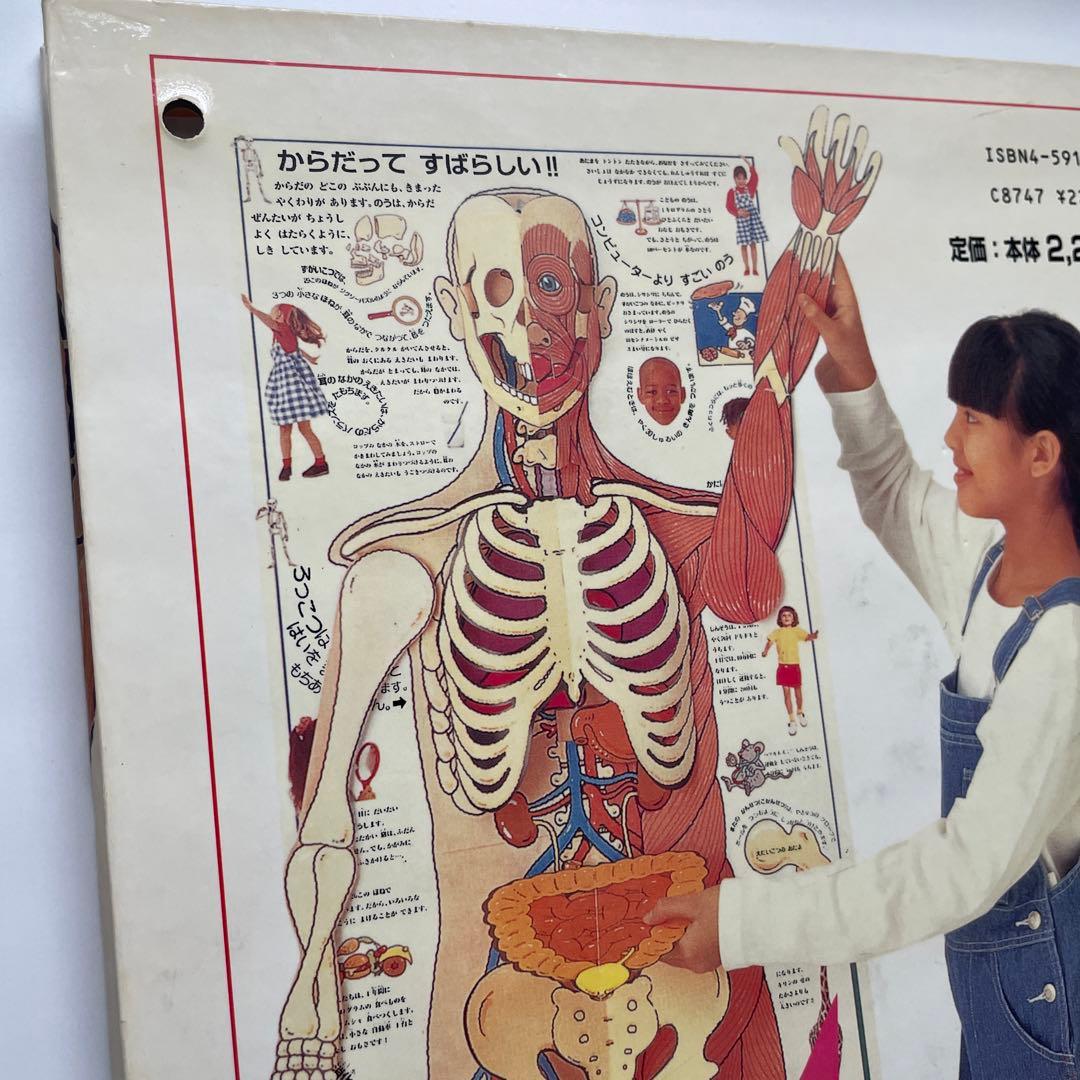 人体絵本 : めくってわかるからだのしくみ - メルカリ