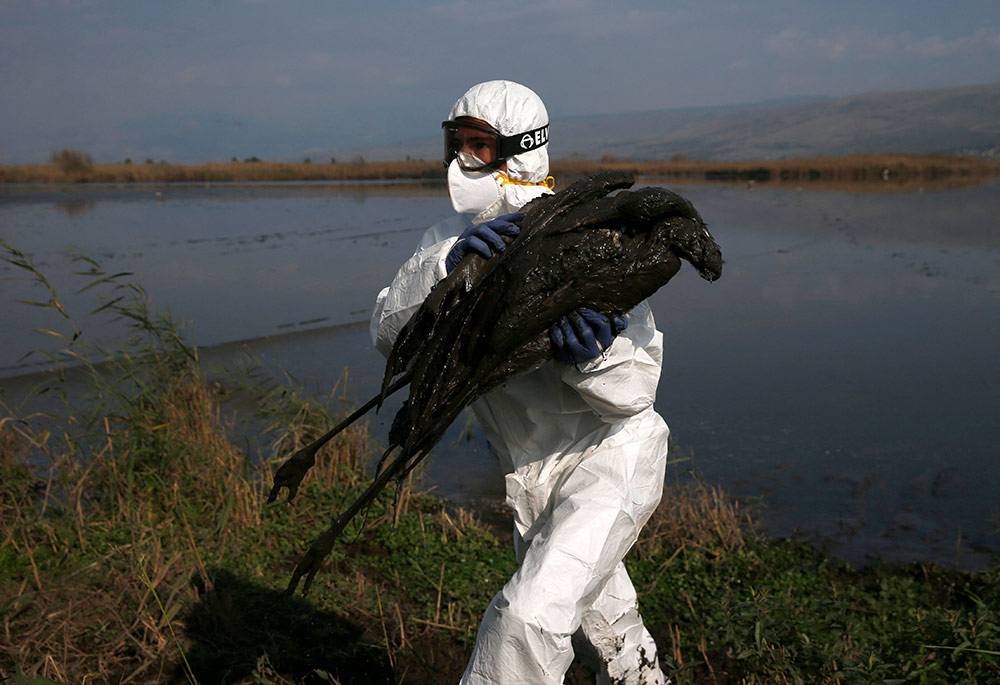 化粧水をコットンでつけるときのおすすめの方法と潤いで満たすコットンパックのやり方教えます美的.com