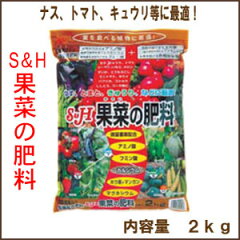 香川県さぬき市でのカボチャ栽培のんびり農園