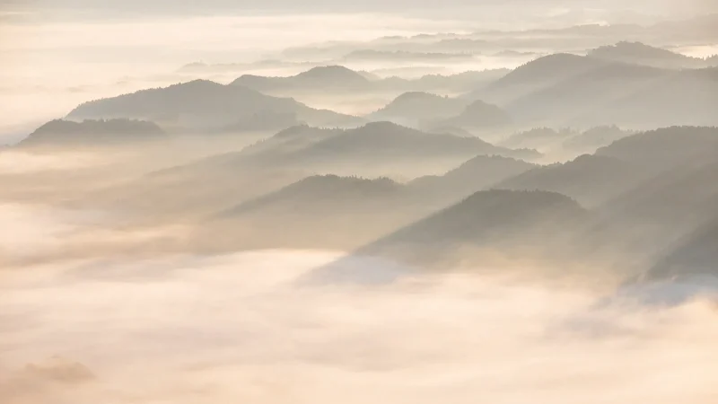 霧 きり旬のもの暦生活日本の季節を楽しむ暮らし