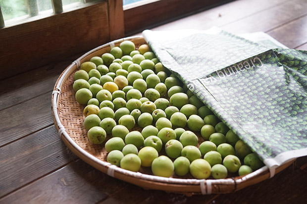 梅の保存方法 長持ちさせる保存の仕方