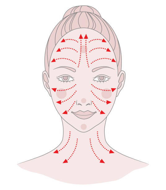 1,800点を超える日本人 エステのイラスト素材、ロイヤリティフリーのベクター素材グラフィックスとクリップアート - iStock日本人 美容,日本人 マッサージ, 日本人 女性 スキンケア