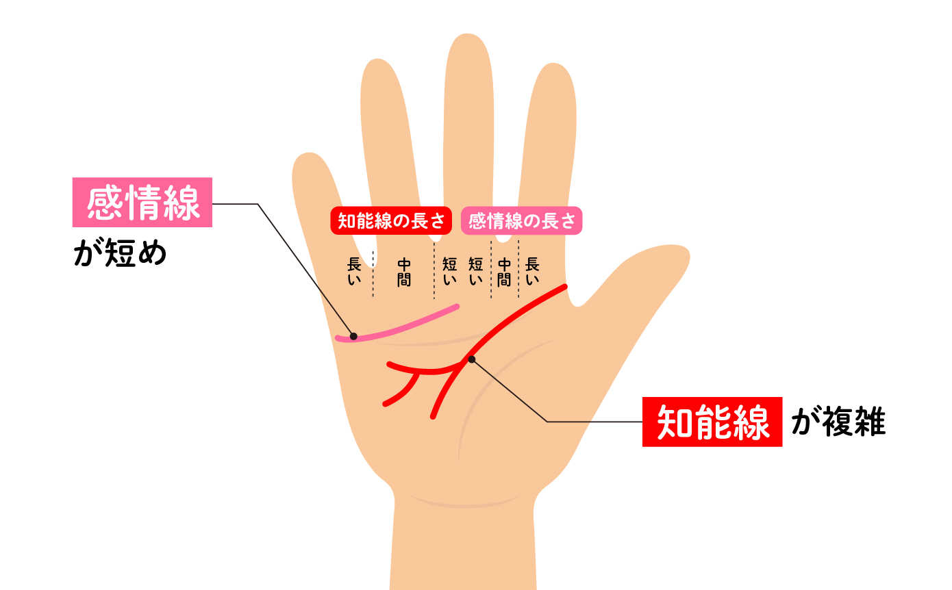 🔮手相占い🔮運命線がない人や薄い人にも意味があります！是非確認してみてくださいね