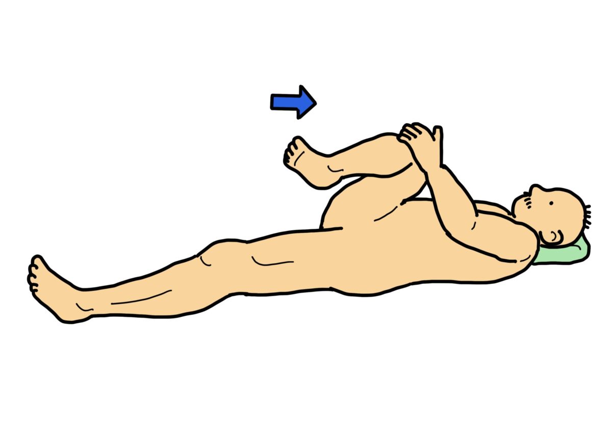 腰痛とストレッチについて川崎区 マトイ鍼灸整骨院- ゼロスポ鍼灸整骨院グループ マトイ鍼灸整骨院