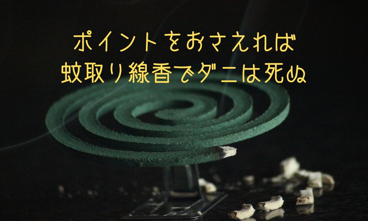ダニコナーズ ビーズタイプダニ用 ダニコナーズKINCHO 大日本除虫菊株式会社