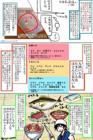 アニサキス３度目の防衛戦はメジマグロでした *´꒳`*ごまプリンの沖釣りに行こうよ